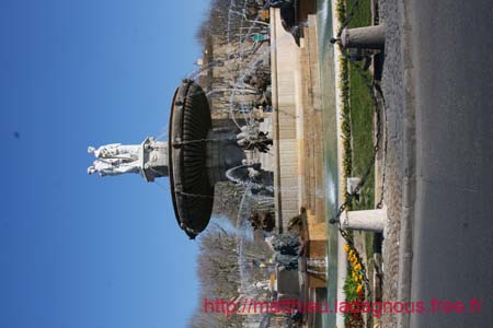 IMG_1031